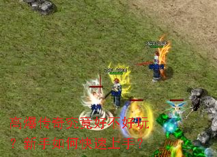 �߱����澿���ò����棿������ο������֣�