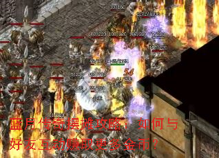 ���´����̯���ԣ��������ѻ���׬ȡ�����ң�