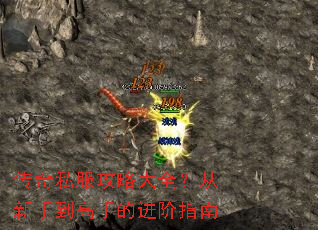 传奇私服攻略大全?从新手到高手的进阶指南 传奇私服攻略大全?从新手到高手的进阶指南