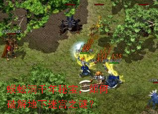 ��򼶴ǧ���ر�������ƽ�����Թ�֮�գ�