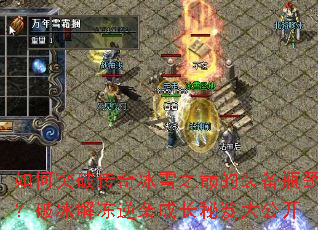 ���ͻ�ƴ����ѩ֮�۵�װ��ƿ�����Ʊ��ⶳ��Ϯ�ɳ����Ŵ󹫿�