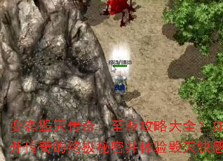 ��̬�����棺�����Դ�ȫ����νҿ�������ռ����ܲ���������У�