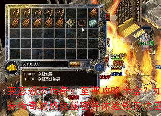 ��̬�����棺�����Դ�ȫ����νҿ�������ռ����ܲ���������У�