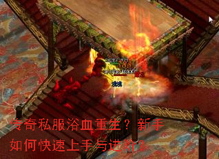 ����˽��ԡѪ������������ο�����������ף�