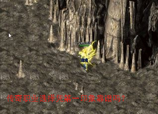 ����ְҵѡ��ƾ��һӡ������