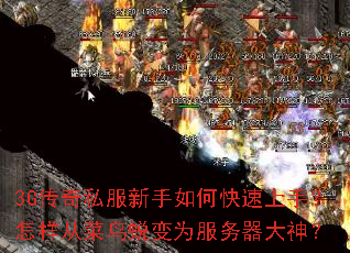 3G����˽��������ο������֣������Ӳ����ɱ�Ϊ����������