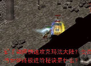 ������ο��ٹ����귨��½����̬����SF�ռ������ؾ���ʲô��