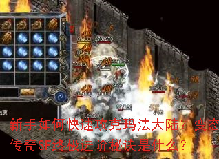 ������ο��ٹ����귨��½����̬����SF�ռ������ؾ���ʲô��