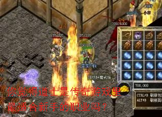 ����õ�ʿ�Ǵ�����Ϸ�����ʺ����ֵ�ְҵ��