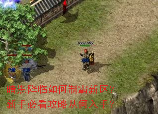 ���ڽ�������ư����������ֱؿ����ԴӺ����֣�