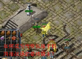 ��γ�Ϊ����˽���ֻ����ս�������հ�����