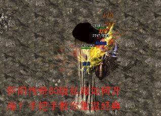 ���ɴ���80��˽����ο������ְ��ֽ������¾���