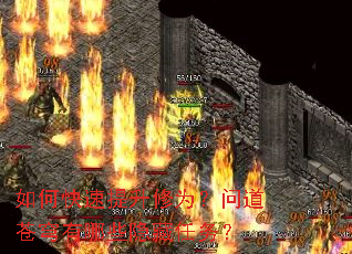 ��ο���������Ϊ���ʵ��������Щ��������