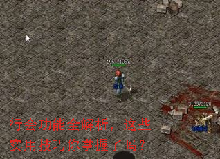 行会功能全解析,这些实用技巧你掌握了吗? 行会功能全解析,这些实用技巧你掌握了吗?