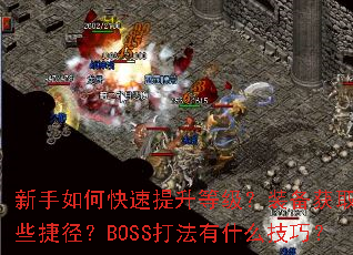 ������ο��������ȼ���װ����ȡ����Щ�ݾ���BOSS����ʲô���ɣ�