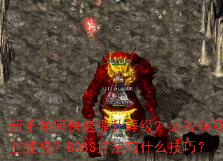 ������ο��������ȼ���װ����ȡ����Щ�ݾ���BOSS����ʲô���ɣ�