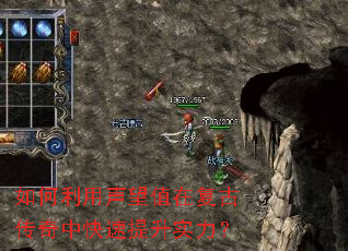 �����������ֵ�ڸ��Ŵ����п�������ʵ����