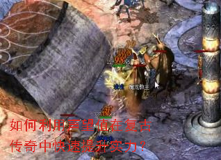 �����������ֵ�ڸ��Ŵ����п�������ʵ����