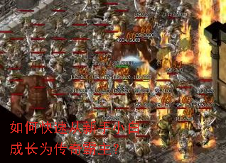 ��ο��ٴ�����С�׳ɳ�Ϊ���������