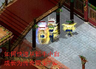 ��ο��ٴ�����С�׳ɳ�Ϊ���������