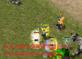 新服争霸传奇如何快速升级?决战皇城必胜战术有哪些? 新服争霸传奇如何快速升级?决战皇城必胜战术有哪些?