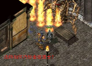 ��ʦ���������ܵ�ʿ��