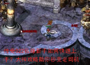 ����022˽��������ο������֣����������������˾��