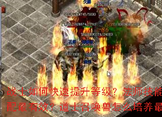 սʿ��ο��������ȼ�����ʦ������δ�������Ч����ʿ�ٻ�����ô������ǿ��