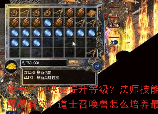 սʿ��ο��������ȼ�����ʦ������δ�������Ч����ʿ�ٻ�����ô������ǿ��