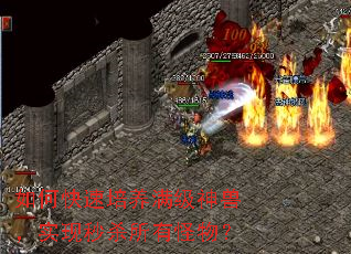 如何快速培养满级神兽,实现秒杀所有怪物? 如何快速培养满级神兽,实现秒杀所有怪物?