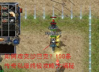 ��ι���ɳ�Ϳˣ�100������˽���ռ����Դ����