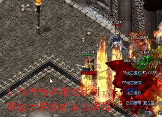 1.76����������ƴ���Ŀ������ı���ѡ��