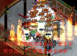 传奇盒子官网独家秘籍:新手如何快速上手?必看攻略全解析 传奇盒子官网独家秘籍:新手如何快速上手?必看攻略全解析