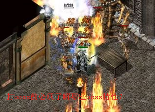 ��bossǰ�����˽���Щboss���ԣ�