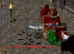 ��bossǰ�����˽���Щboss���ԣ�