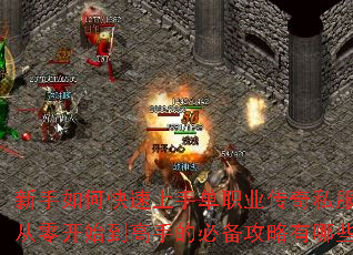 ������ο������ֵ�ְҵ����˽�������㿪ʼ�����ֵıر���������Щ��