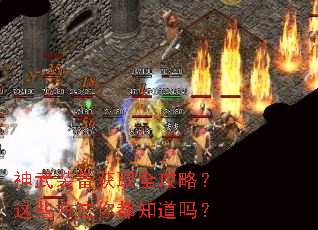 ����װ����ȡȫ���ԣ���Щ�����㶼֪����