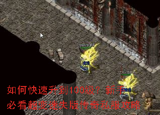 ��ο�������100�������ֱؿ�������ʧ�洫��˽������