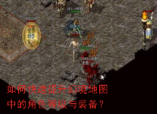 ��ο��������þ���ͼ�еĽ�ɫ�ȼ���װ����