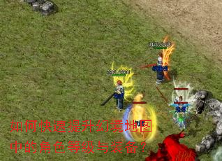 ��ο��������þ���ͼ�еĽ�ɫ�ȼ���װ����