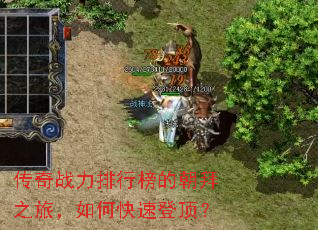 传奇战力排行榜的朝拜之旅,如何快速登顶? 传奇战力排行榜的朝拜之旅,如何快速登顶?