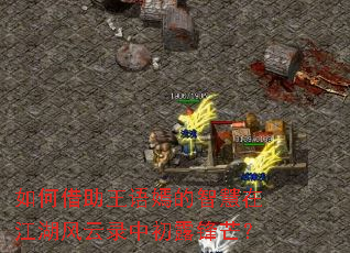 ��ν��������̵��ǻ��ڽ�������¼�г�¶��â��