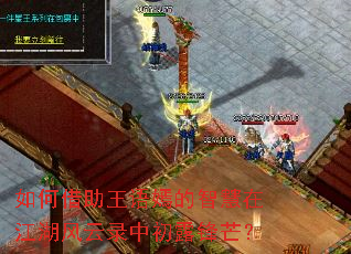 ��ν��������̵��ǻ��ڽ�������¼�г�¶��â��