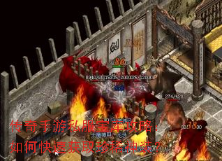 ��������˽�����⹥�ԣ���ο��ٻ�ȡ��ϡ��װ��