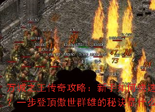 ���֮�����湥�ԣ�������ο��ٿ��ģ�һ���Ƕ�����Ⱥ�۵��ؾ���ʲô��