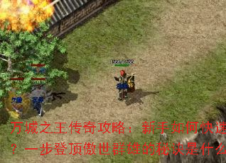 ���֮�����湥�ԣ�������ο��ٿ��ģ�һ���Ƕ�����Ⱥ�۵��ؾ���ʲô��