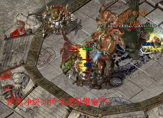 新区冲级如何快速积累金币? 新区冲级如何快速积累金币?