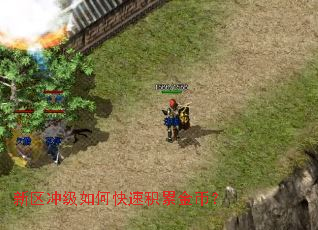 新区冲级如何快速积累金币? 新区冲级如何快速积累金币?