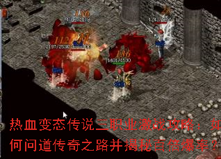 热血变态传说三职业激战攻略:如何问道传奇之路并揭秘百倍爆率? 热血变态传说三职业激战攻略:如何问道传奇之路并揭秘百倍爆率?