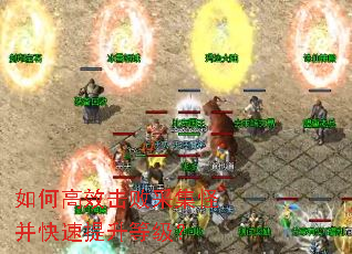 ��θ�Ч���ܲɼ��ֲ����������ȼ���